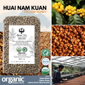 HUAI NAM KUAN / ห้วยน้ำกืน  เชียงราย / Yellow Honey