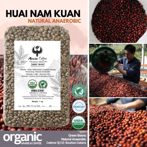 HUAI NAM KUAN /ห้วยน้ำกืน  เชียงราย / Natural  Anaerobic