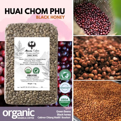 HUAI CHOM PHU / ห้วยชมภู เชียงราย /  Black  Honey